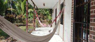 Flor de Sacuanjoche, Chinandega - Chinandega - 8