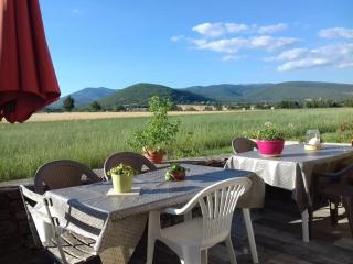 Gîte les Granges dans ferme provençale. 14 pers - 2
