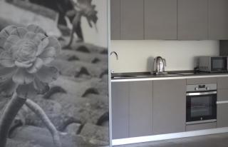 NEW CENTRAL LOFT- El verodal de Sabino - 8