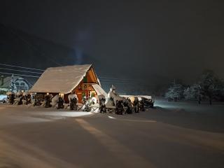 Prigorka, a fairytale house - 9