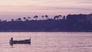 Colombe - Cannes - 7