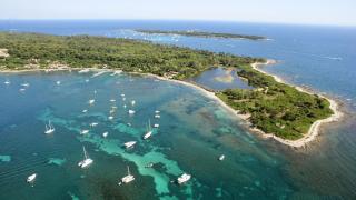Colombe - Cannes - 4