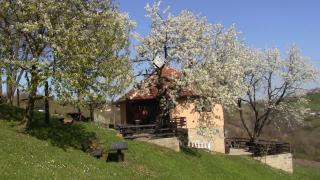 Holiday Home Vila Kikovi - Dragolj - 7