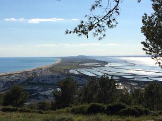 Appart cosy avec terrasse à 500m de la plage, parking, animaux admis, quartier dynamique - Sète - FR-1-338-494 - 4