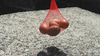 Guest House Takiyoshi - 2