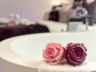 perfect lifestyle Design Boutique & Private SPA - Gebenstorf - 1