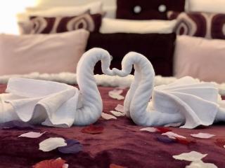 perfect lifestyle Design Boutique & Private SPA - Gebenstorf - 3
