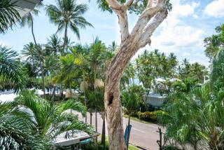 Belle Escapes Beachview Suite 1304 Drift Beachfront Resort - 5