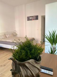PnT home-stilvolles Apartment - Coblença - 5