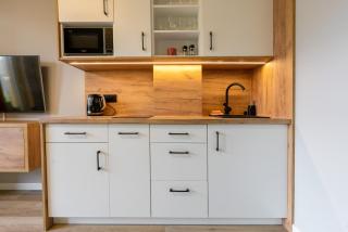 Apartamenty Laguna Beskidów 46 z sauną i siłownią - Dream Apart - Zarzecze - 4