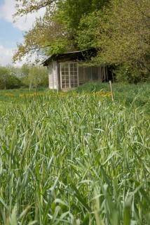 Camping sous les Poiriers - Domfront - 5