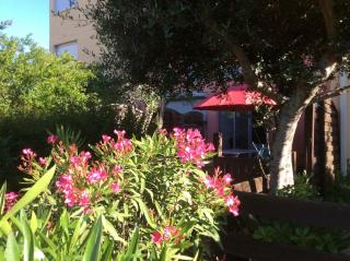 Cap Agde Studio-Cabine jardin clos, port et plage - 3