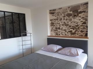 Les Palmiers. Charme, spa et massage en vignoble nantais - Le Pallet - 6