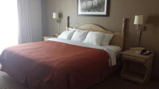 Travelodge Suites by Wyndham Saint John - Saint John - 9