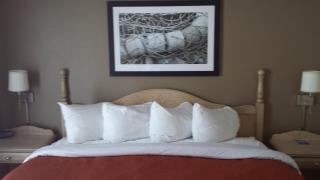 Travelodge Suites by Wyndham Saint John - Saint John - 8