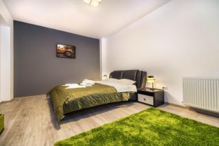 Green Studio - located by the forest, near AFI Mall, and moments away from The Old Town - Braşov - 1