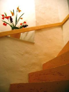 Dobra Apartments - Trogir - 7