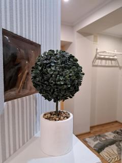 Mokka Apartament - Kielce - 8