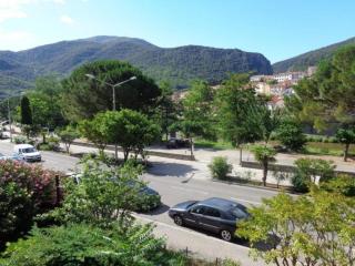 Studio cosy 24 m² avec balcon, proche cures et centre-ville, animaux bienvenus ! - FR-1-703-109 - 8