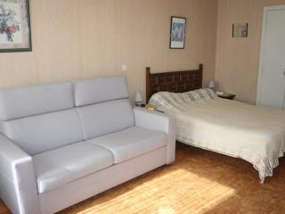 Studio cosy proche cure avec équipement complet et animaux acceptés - FR-1-703-120 - Amélie-les-Bains-Palalda - 8