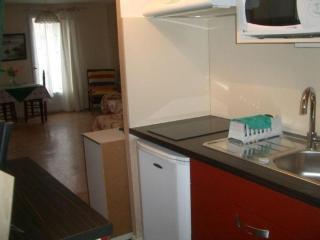 Studio cosy proche cure avec équipement complet et animaux acceptés - FR-1-703-120 - Amélie-les-Bains-Palalda - 7