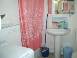 Studio cosy proche cure avec équipement complet et animaux acceptés - FR-1-703-120 - Amélie-les-Bains-Palalda - 6