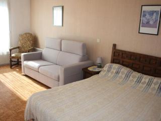 Studio cosy proche cure avec équipement complet et animaux acceptés - FR-1-703-120 - Amélie-les-Bains-Palalda - 3