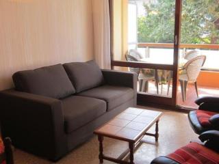 Appartement F2 à Amélie-les-Bains, Terrasse, Parking, Wifi, Animaux OK - FR-1-703-133 - Amélie-les-Bains-Palalda - 7