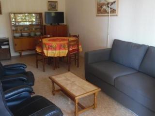 Appartement F2 à Amélie-les-Bains, Terrasse, Parking, Wifi, Animaux OK - FR-1-703-133 - Amélie-les-Bains-Palalda - 6