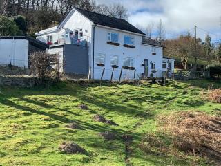 Broombush B & B & Yr Nyth Shepherds Hut - Aberhafesp - 0
