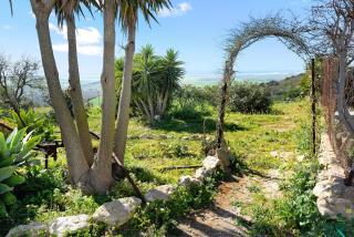 Las Niñas - Vejer de la Frontera - 6