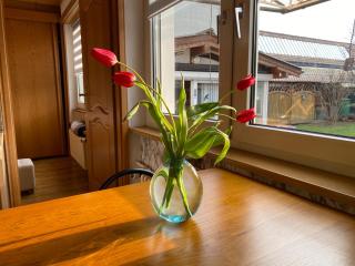 Appartement 3 lys - Saint-Louis - 1