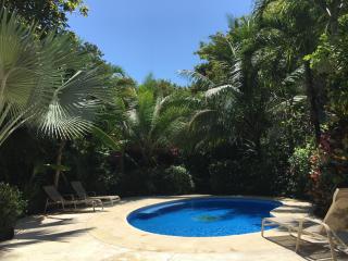 Villa Tortuga - Nosara - 5