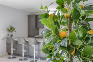 Appartamento lussuoso climatizzato a 200 m dal mare - Torre Pali - 5