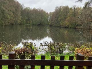 Chalet nature avec étang, terrasse et pêche No Kill - 2 chambres - FR-1-410-383 - 2