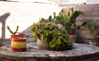 Departamento Puerto Madryn! Patagonia Beach - 1