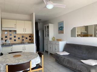 Appartement cosy à Balaruc-les-Bains avec animaux admis - FR-1-503-31 - 4