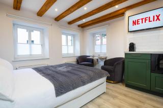 stadtmauer apartments - Neue helle Studio Wohnung direkt an der historischen Stadtmauer - Nördlingen - 1