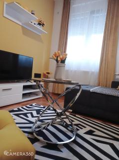 APARTMAN SUNFLOWER - Sremska Mitrovica - 4