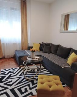 APARTMAN SUNFLOWER - Sremska Mitrovica - 5