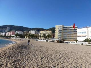 Magnifique F3 les pieds dans l'eau. - Ajaccio - 2
