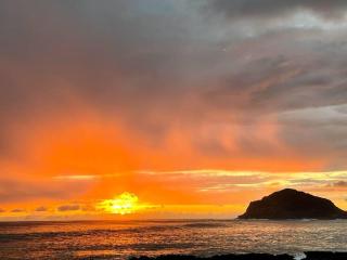 Charming Country Cottage just a few steps from the beach! - Waianae - 9