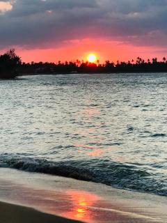 Piece of Paradise - Las Terrenas - 4