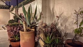 Riad Dar Alma Fes - 1