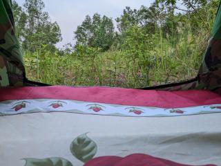 Kampot Camping - Eco Retreat - 9