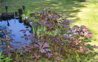 2 Bedroom Cozy Home In Halden - 3