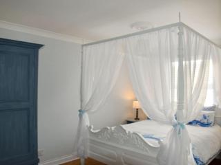 Buzzards - 8235 - Bridport - 9