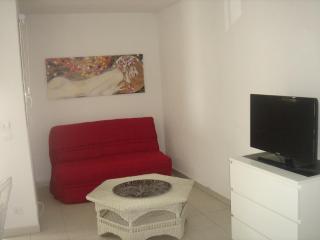 Beau T2 climatisé avec garage, 4 couchages, Balaruc-les-Bains - FR-1-680-13 - Balaruc-les-Bains - 4