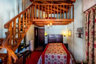 Mikri Arktos - Elati, Trikala - 8