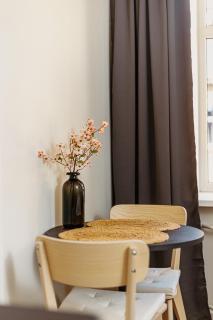 Beautiful Studio in Downtown Riga - Great Location - Riga - 6